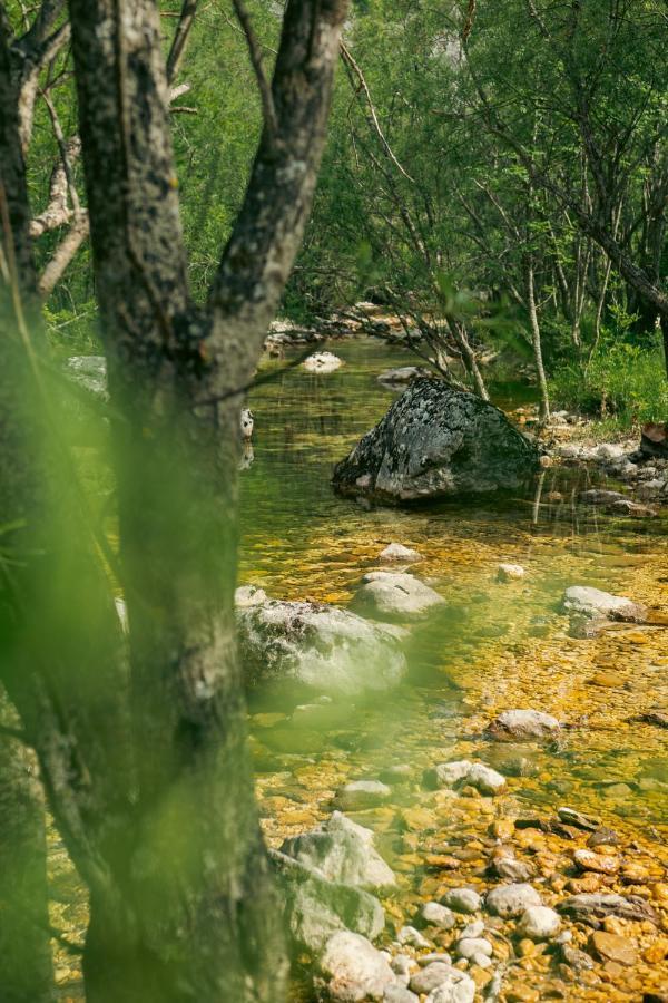 Natures Escape Kozarica Savnik Екстериор снимка